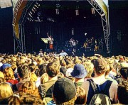 Die Lagwagon T-Shirts von hinten